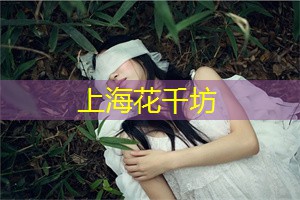了解上海的传统文化和历史